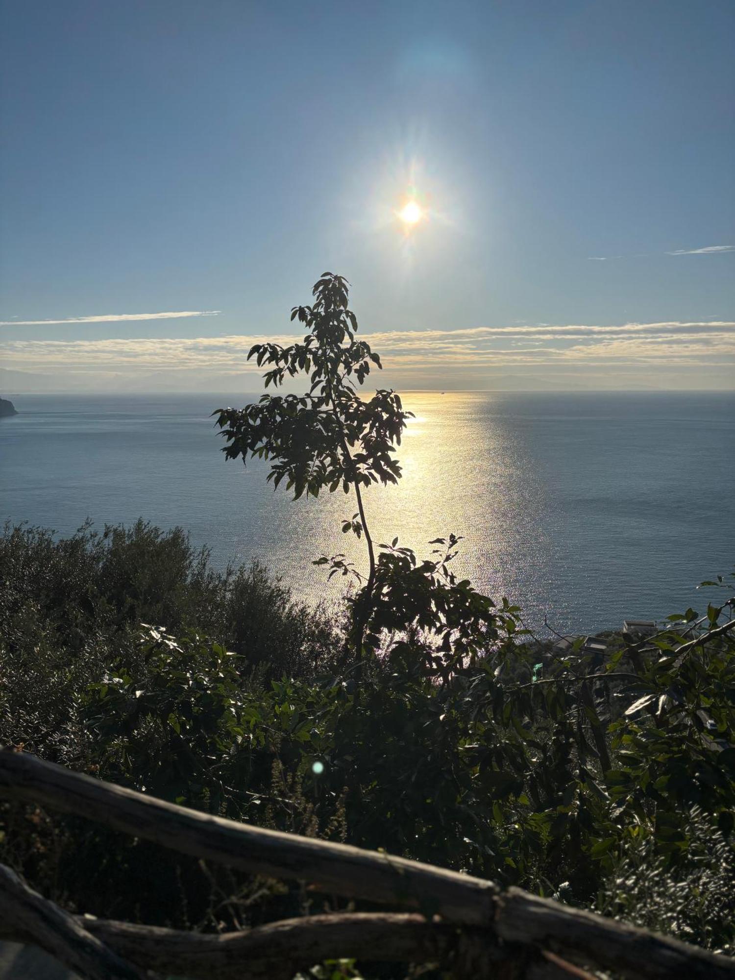 Suite I Limoni Ravello Exteriör bild